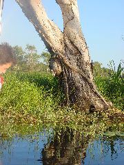 DSC00070.JPG
