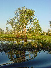 DSC00072.JPG