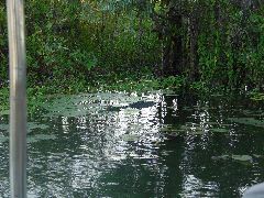 DSC00073.JPG