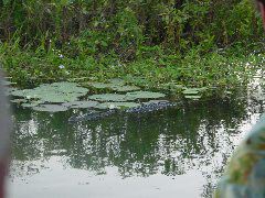 DSC00074.JPG