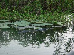 DSC00075.JPG