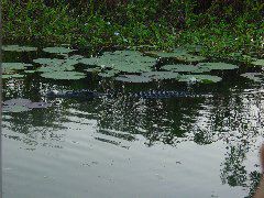 DSC00076.JPG