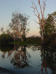 DSC00080.JPG