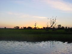 DSC00081.JPG