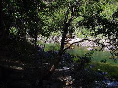 DSC00005.JPG