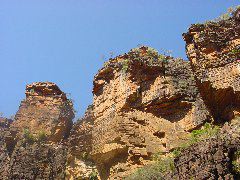 DSC00007.JPG