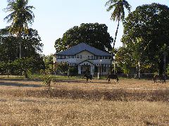 P7060071.JPG