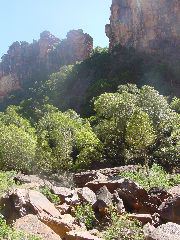 DSC00012.JPG