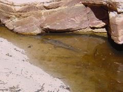 DSC00014.JPG