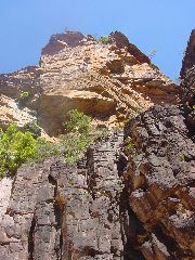 DSC00019.JPG