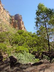 DSC00030.JPG