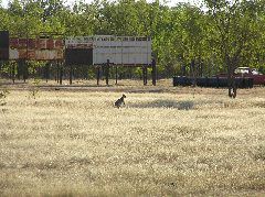 P7060075.JPG