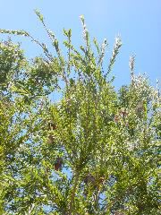 DSC00015.JPG