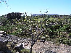 P7160286.JPG