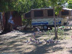 DSC00019.JPG