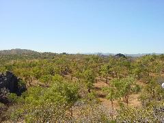 DSC00021.JPG