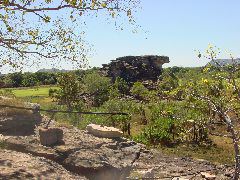 DSC00074.JPG