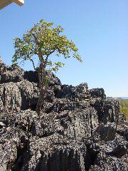DSC00022.JPG