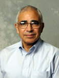 Professor Ahmed Sameh
