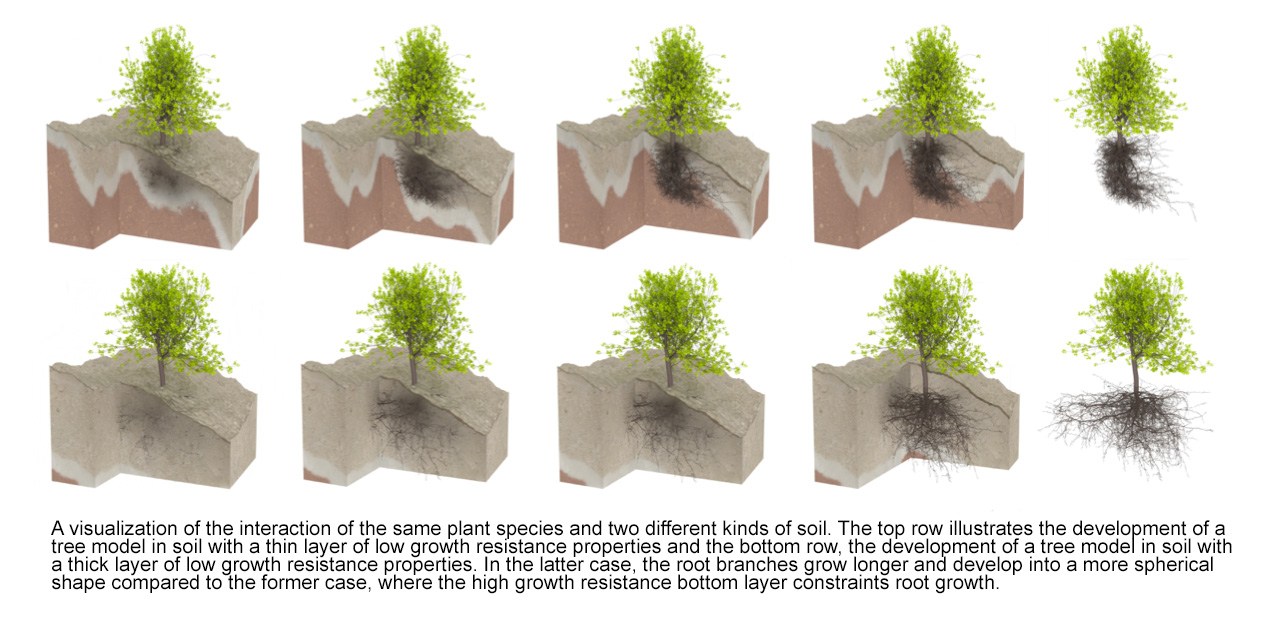 A visualization of the interaction of the same plant species and two different kinds of soil. The top row (a) illustrates the development of a tree model in soil with a thin layer of low growth resistance properties and the bottom row (b) the development of a tree model in soil with a thick layer of low growth resistance properties. In the latter case, the root branches grow longer and develop into a more spherical shape compared to the former case, where the high growth resistance bottom layer constraints root growth.