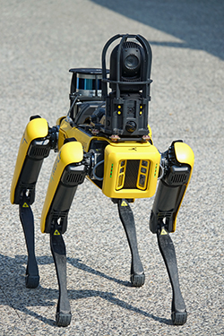 robotic dog