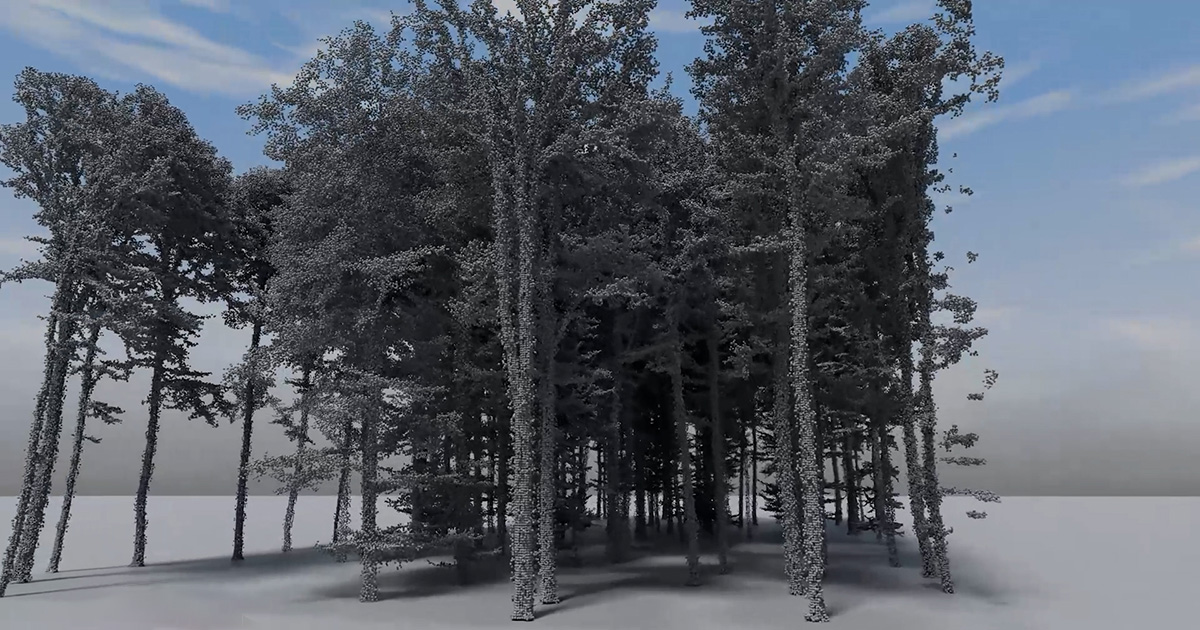 This forest point cloud is an input example of the TreeStructor forest reconstruction method devised by researchers at Purdue University and Kiel University. Previous methods only partially reconstructed the shape of a single tree from a clean point-cloud dataset acquired by laser-scanning technologies. (Purdue University photo/Bedrich Benes)