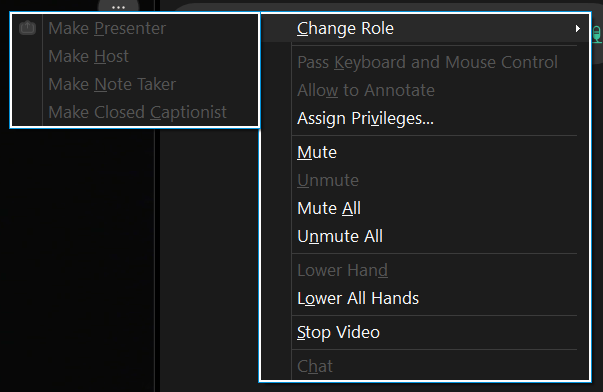 Webex user settings