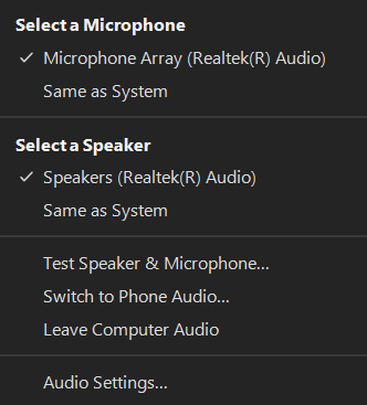 Zoom app audio options